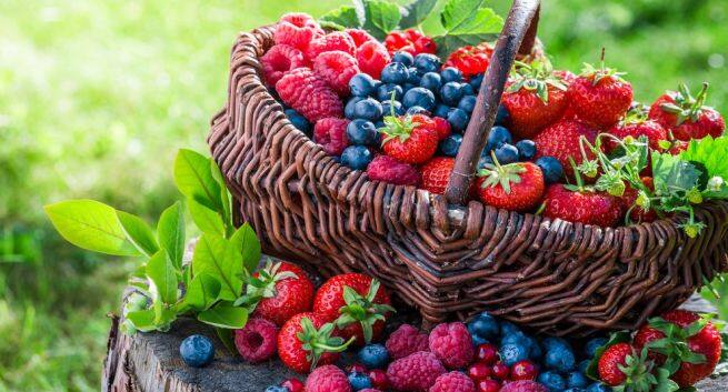 berries foods that can cause allergies in children