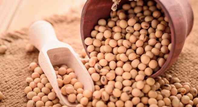 estrogen-rich-foods