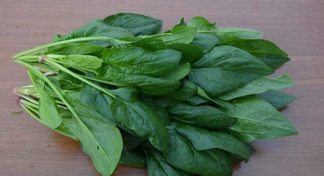 sorrel leaves