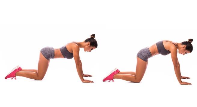Cat-and-camel-stretch workout that will help you sculpt a sexy back in 15 days in hindi
