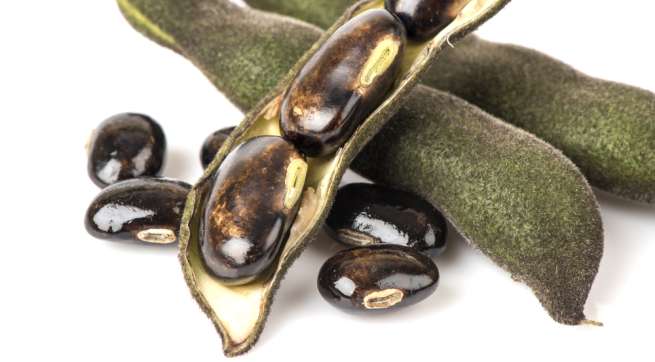 kaunch-ayurvedic herbs help you to get rid from the problem of impotency