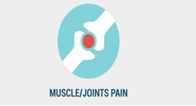 muscle-joint-pain-symptoms of zika virus