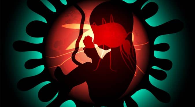How the Zika virus affects pregnancy How the Zika virus affects pregnancy