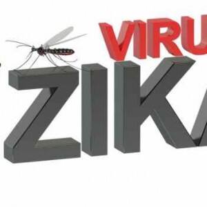 Here's what WHO has advised us about Zika and the three Zika cases confirmed in detail Here's what WHO has advised us about Zika and the three Zika cases confirmed in detail