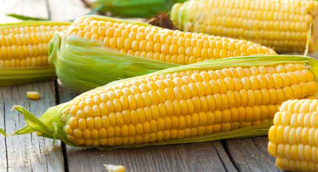 Corn