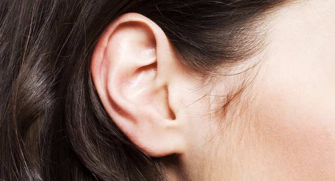 Ears