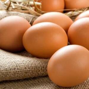 Plastic eggs found in Orissa school; here's how you can identify the fake ones Plastic eggs found in Orissa school; here's how you can identify the fake ones
