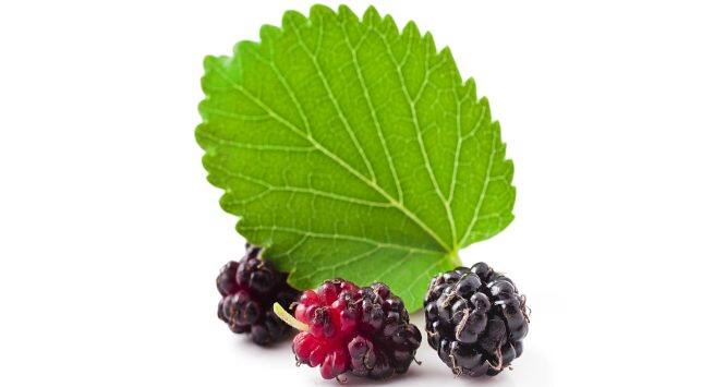 berry