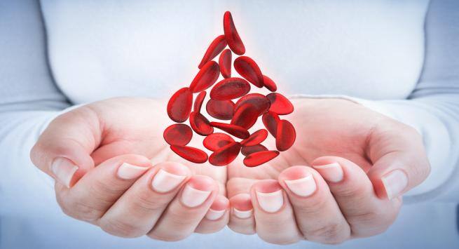 blood donation