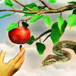 Is it healthy to become a fruitarian and follow a 'fruit only' diet? Is it healthy to become a fruitarian and follow a 'fruit only' diet?