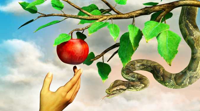 Is it healthy to become a fruitarian and follow a 'fruit only' diet? Is it healthy to become a fruitarian and follow a 'fruit only' diet?