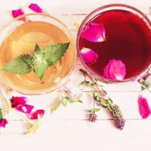 Green tea or Tisanes? Which is better? Green tea or Tisanes? Which is better?