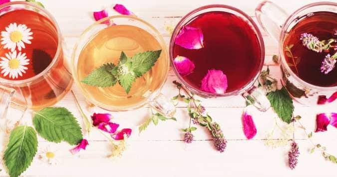 Green tea or Tisanes? Which is better? Green tea or Tisanes? Which is better?