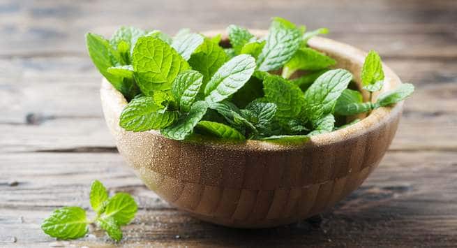 Peppermint