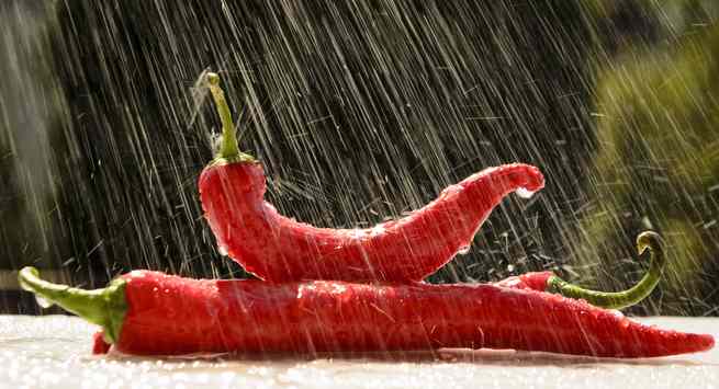 Spices to prevent diseases in monsoon