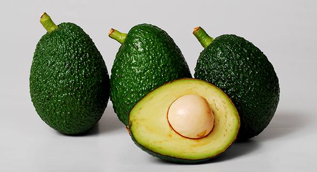 avocado Hindi