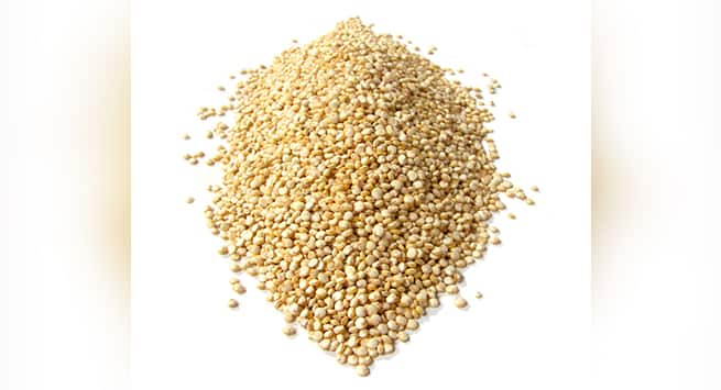 quinoa Hindi