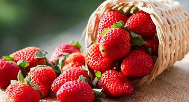 Berries