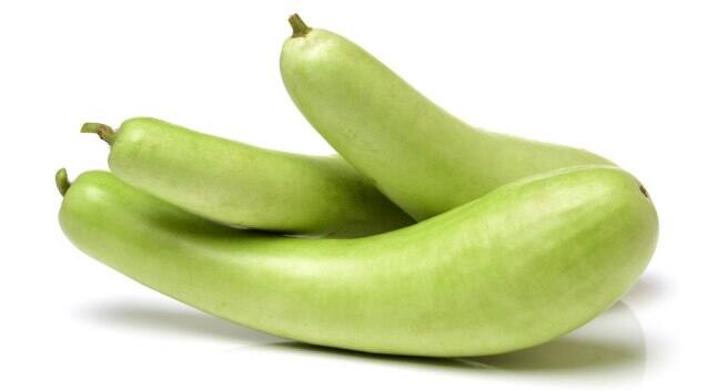 Bitter-gourd