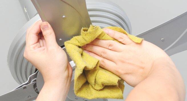 Cleaning the fan