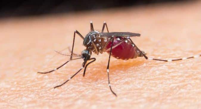 WHO to review the Sanofi's Dengue vaccine, Dengvaxia; concerns raised over its safety WHO to review the Sanofi's Dengue vaccine, Dengvaxia; concerns raised over its safety