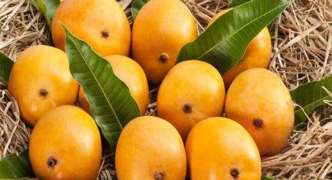 Mangoes