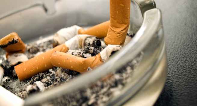 New pest control method: Using cigarette butts to destroy malaria mosquitoes New pest control method: Using cigarette butts to destroy malaria mosquitoes