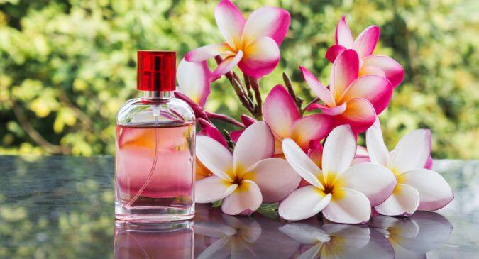 perfume in hindi