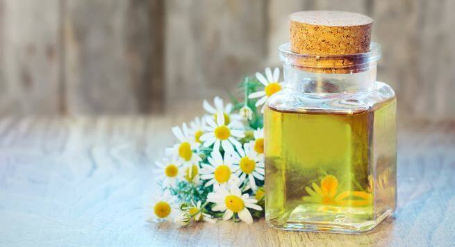 Chamomile-oil best essential oils that help reduce anxiety