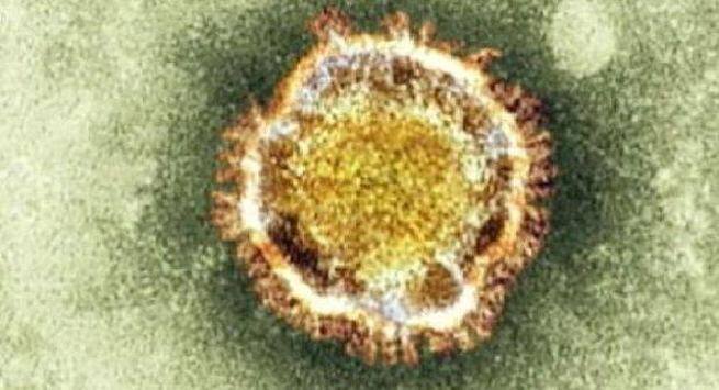 Facts about herpes