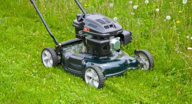 Mow the lawn