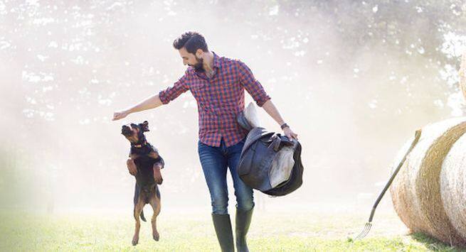Take your dog for a walk