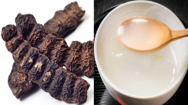 gruel shikakai
