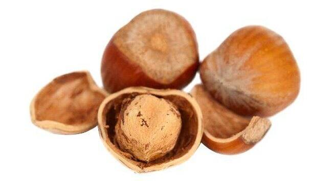 Hazelnuts hindi