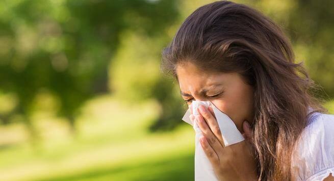 Longer allergy seasons