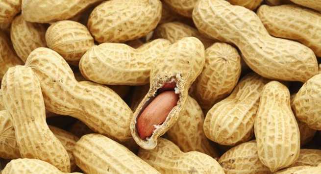 Peanuts hindi