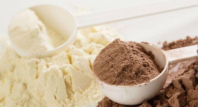Protein powder