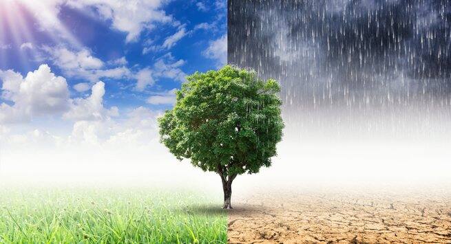 Ways climatic change can harm your health