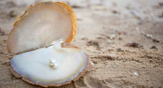 pearl Hindi