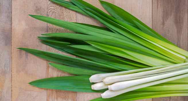 Lemongrass