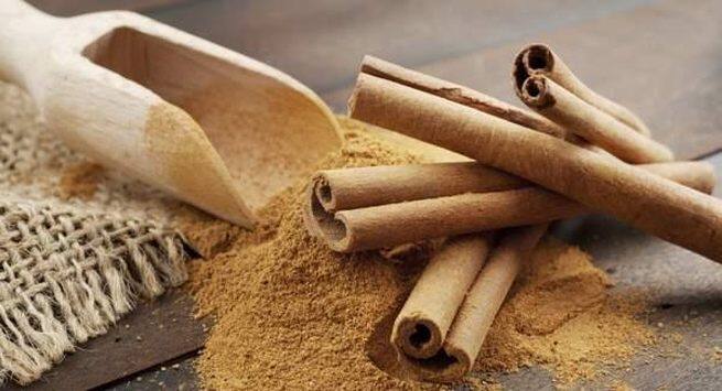 Cinnamon-3 Hindi