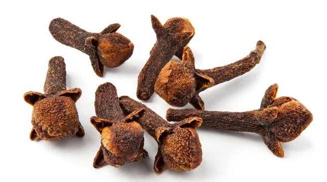clove hindi
