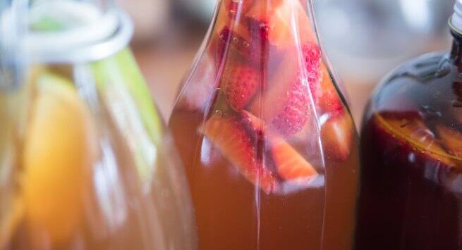 kombucha Hindi