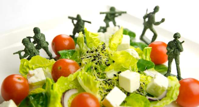 military-diet Hindi