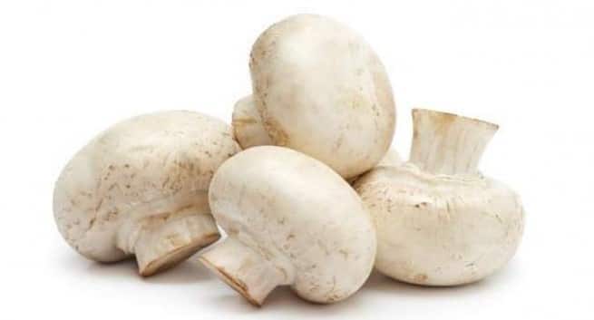 mushrooms