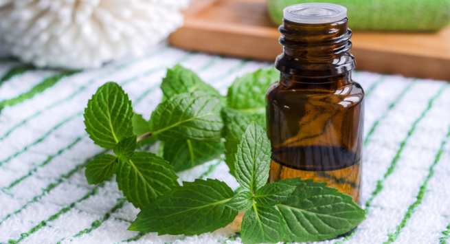 peppermint oil
