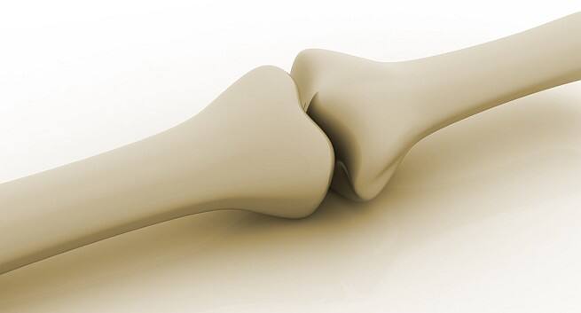 thick-bone-ends Hindi