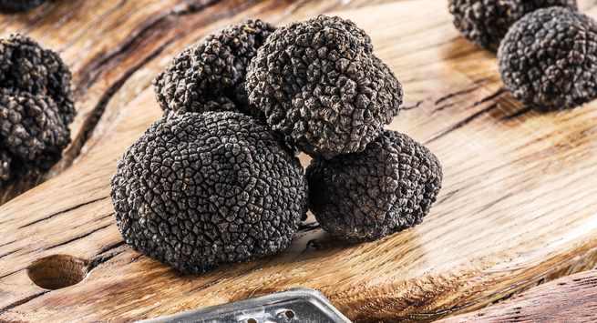 Black mushroom