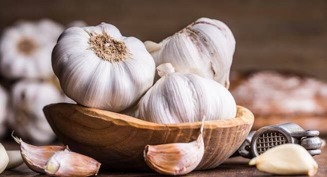 garlic