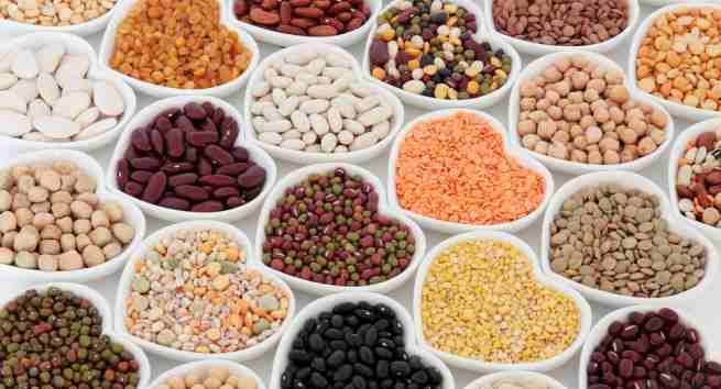 pulses and legumes